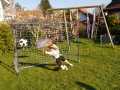 07_boarischdahoam_7