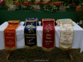 gaufest-mammendorf-2014-5