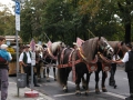 Wiesn-2011-v-n (11)